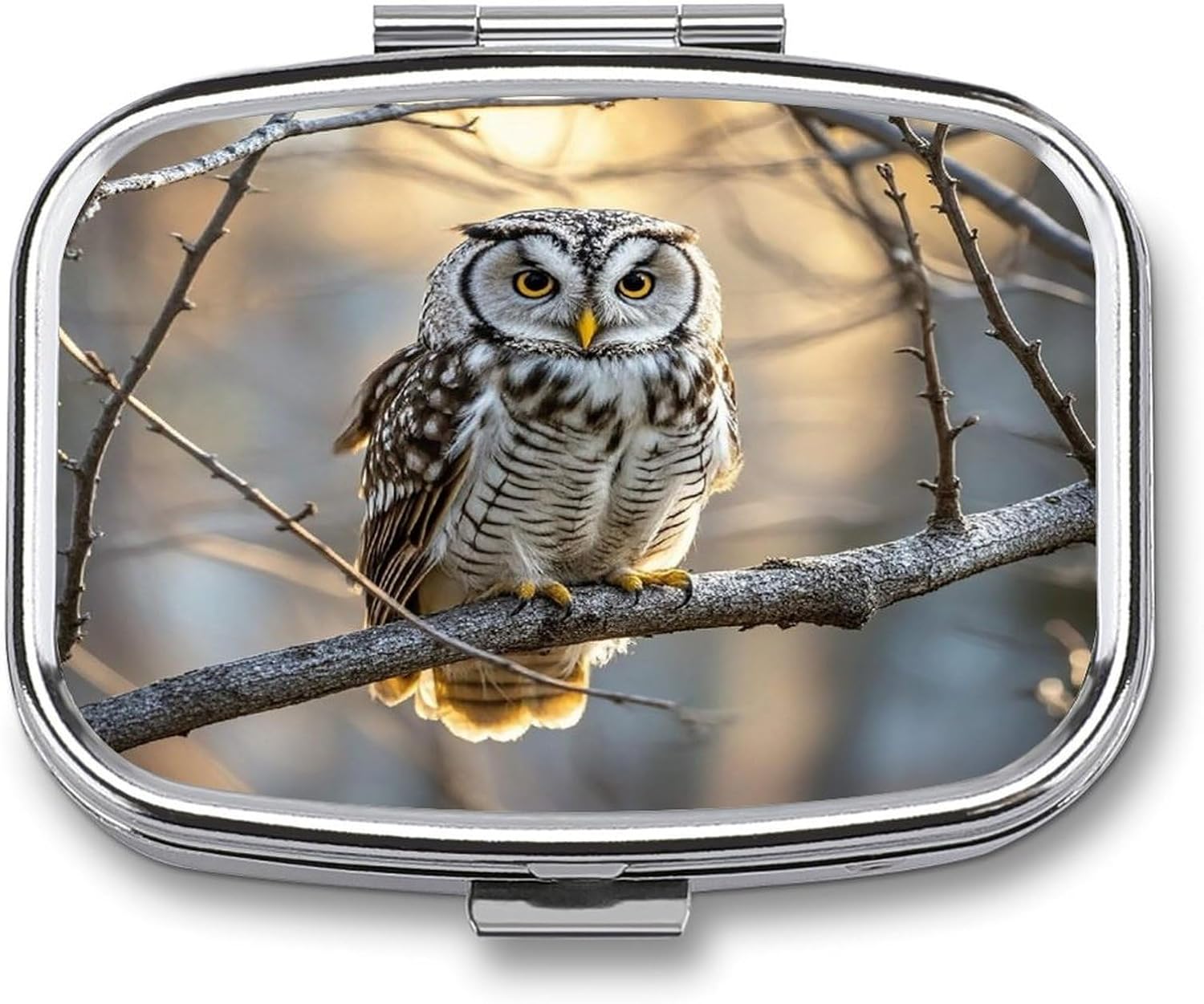 Owl on A Branch Pill Case Portable Medicine Organizer Compact Travel Pill Box Small Metal Medicine Box for Purse Pocket Pill Container Holder 2 Compartments Medication Holder