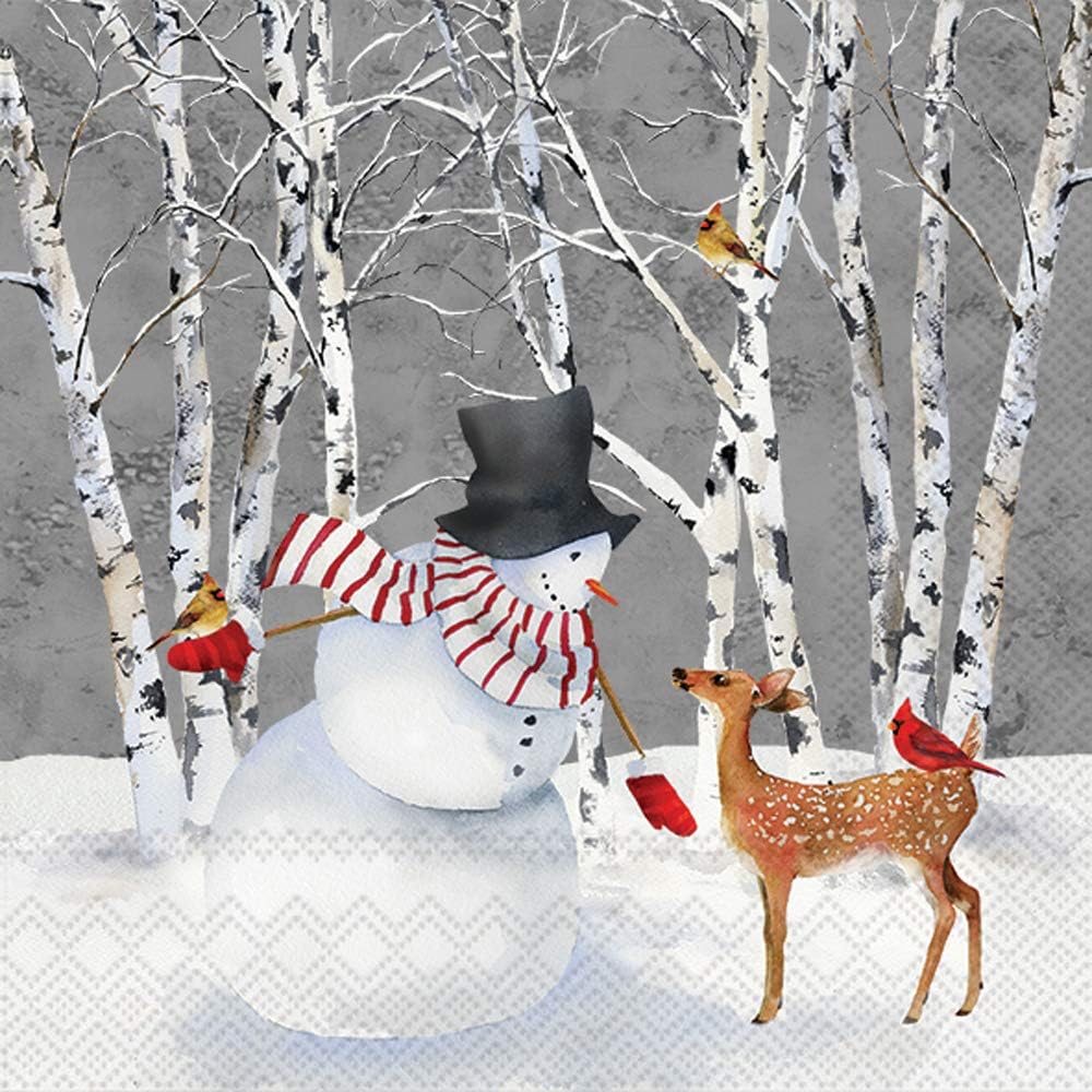 Boston International C840300 IHR Cocktail Beverage Paper Napkins, 5 x 5-Inches, Snowy Fawn Friends