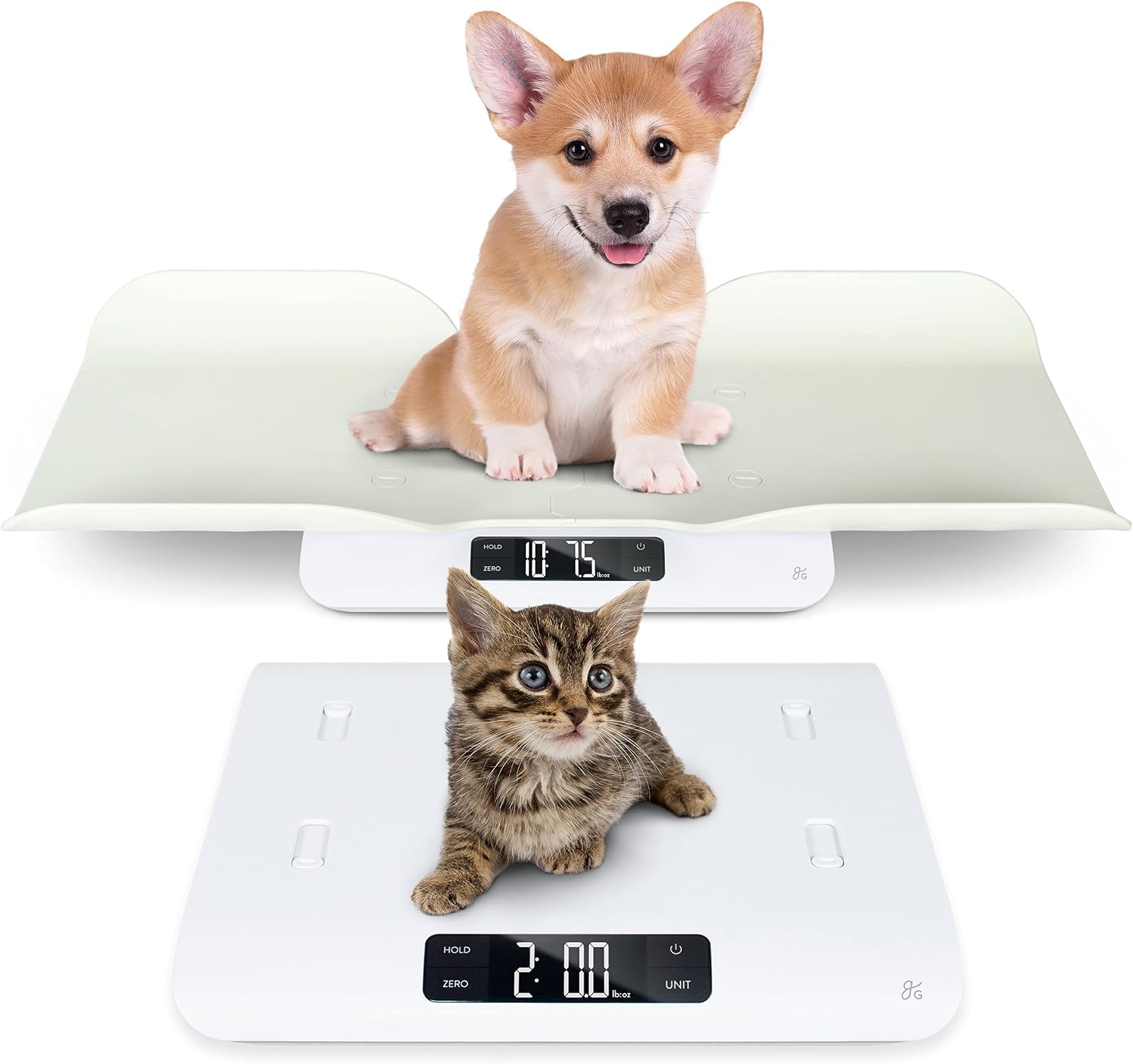 Greater Goods Digital Pet Scale, Accurately Weigh Your Kitten, Rabbit, or Puppy with a Wiggle-Proof Algorithm, Great Option as a Scale for Small Animals, Designed in St. Louis