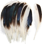 THARAHT Duck Feathers 120pcs 4-6 inch 10-15cm Bulk for Crafts Handmade Clothing Hats Home Wedding Party Decoration Feathers,Natural