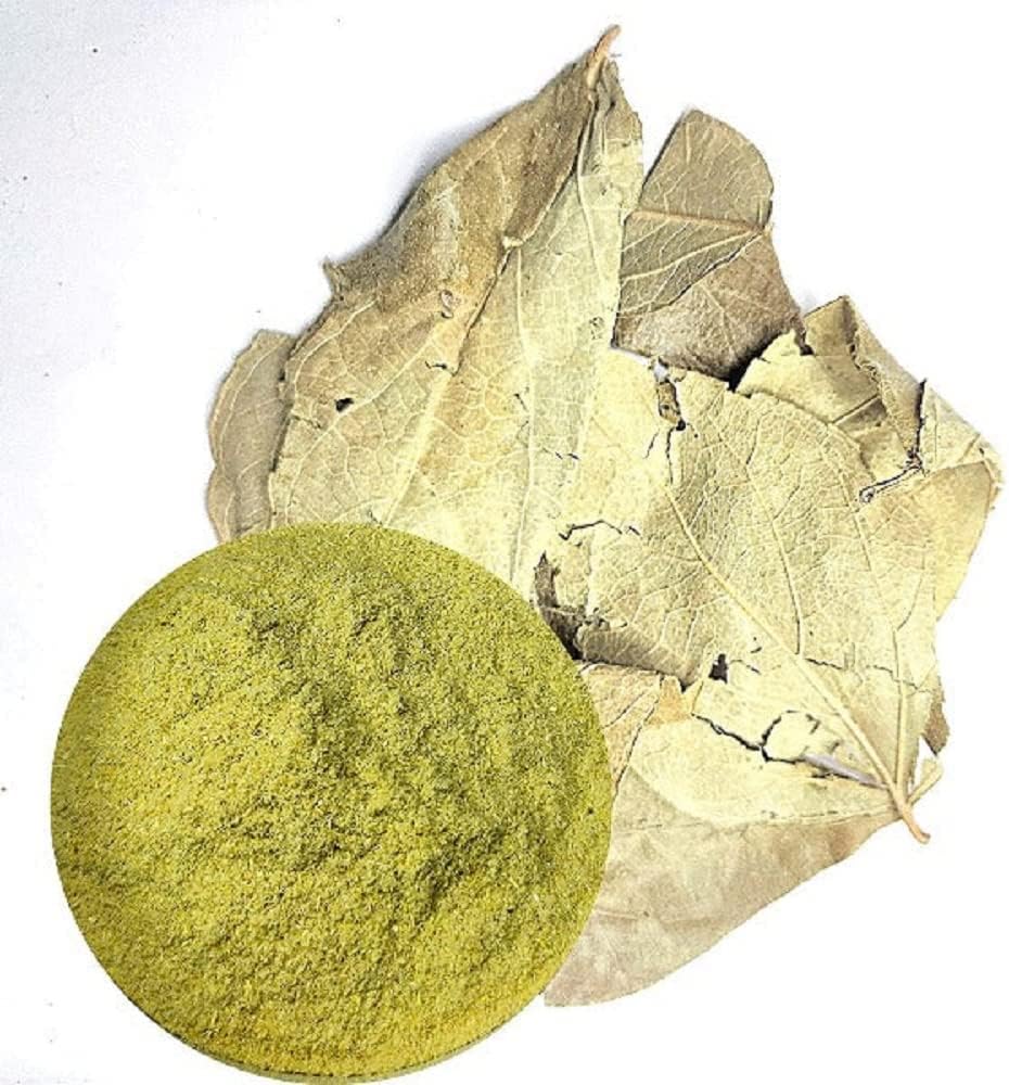 India's Creation Parijat Leaves Powder-Nyctanthes Arbor-Tristis-Raw Herbs-Parijaat-Harsingar Leaves-Harshringar-Parijat Leaves-Jadi Booti-Single Herbs (100 Gram)