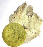 India's Creation Parijat Leaves Powder-Nyctanthes Arbor-Tristis-Raw Herbs-Parijaat-Harsingar Leaves-Harshringar-Parijat Leaves-Jadi Booti-Single Herbs (100 Gram)