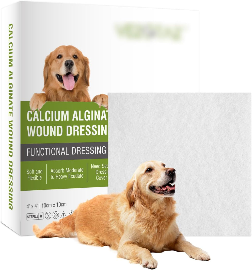 Calcium Alginate Wound Dressing Pads, 4'' x 4'' Patches [10 Individual Pack], High Absorbency Dressing, Soft Wound Care Products for Bedsore