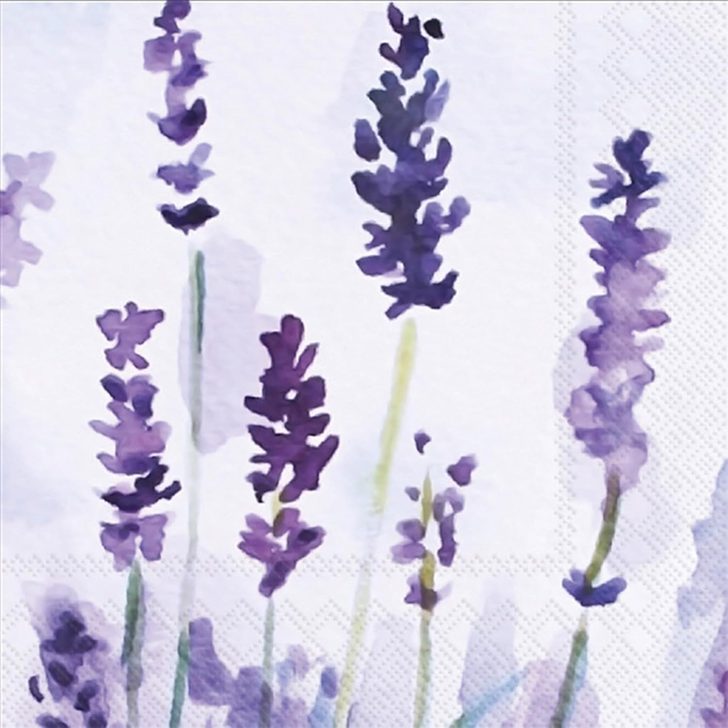 Boston International Paper Napkins Disposable 3-Ply Party Pack | Watercolor Art, 5" x 5" Dessert Beverage Cocktail Napkin 20-Count, Lavender