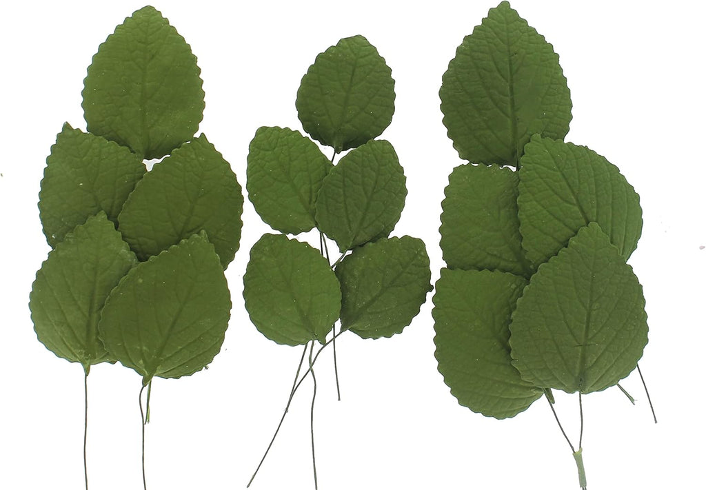 Global Sugar Art Hydrangea Leaves Sugar Cake Flowers Green Mix of Large Medium and Small, 15 Count by Chef Alan Tetreault