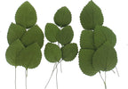 Global Sugar Art Hydrangea Leaves Sugar Cake Flowers Green Mix of Large Medium and Small, 15 Count by Chef Alan Tetreault
