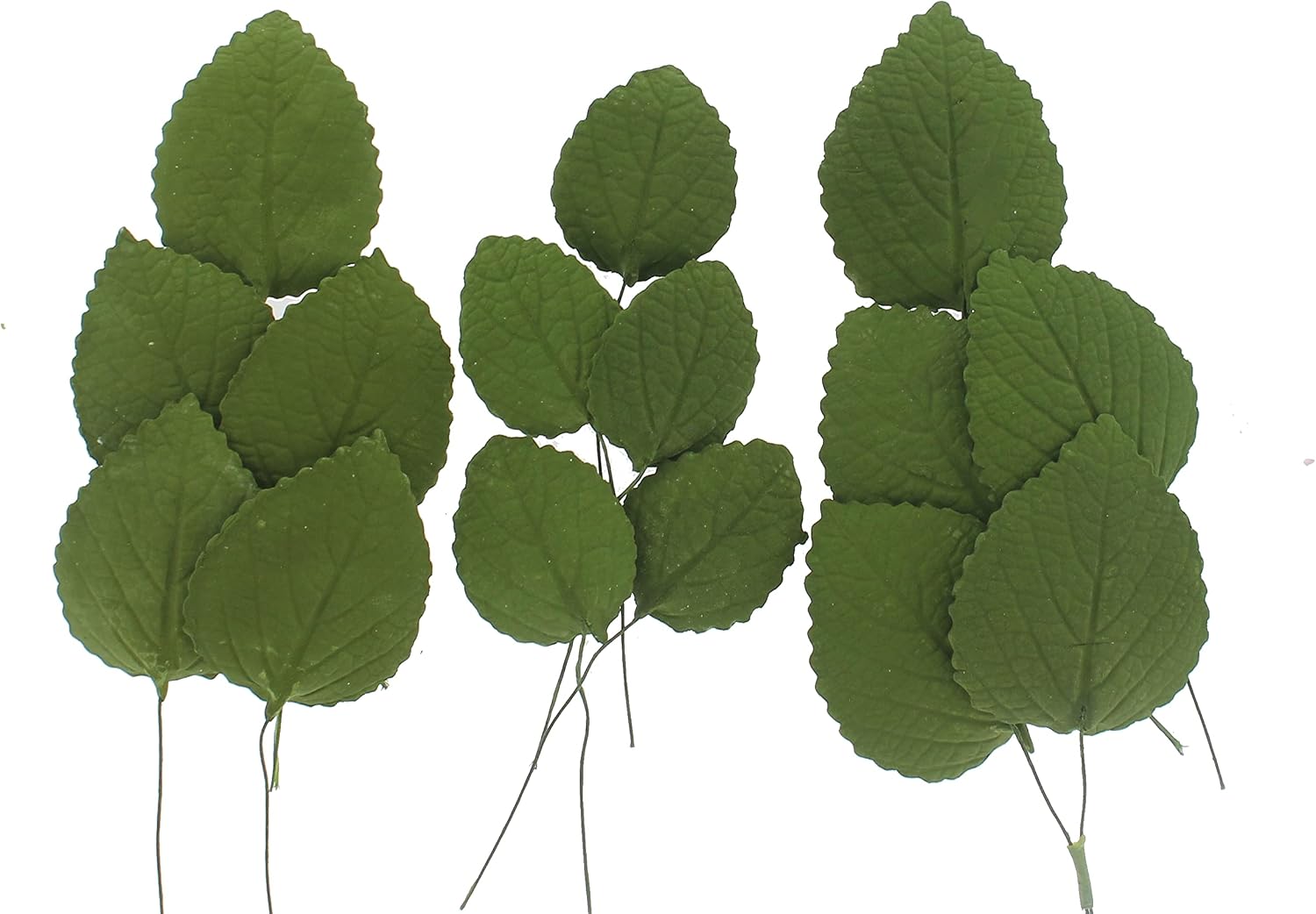 Global Sugar Art Hydrangea Leaves Sugar Cake Flowers Green Mix of Large Medium and Small, 15 Count by Chef Alan Tetreault