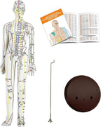 Acupuncture Model, Human Acupoint Model 20.5in Full Body Silicone Professionals Clear Identification with Base for Chinese Medicine Teaching Acupoint Student Demonstration (Female）