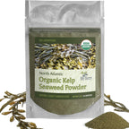 Organic Maine Coast Kelp Seaweed Powder 2oz by My Berry | Dark Green, Fresh Kelp Only | (Ascophyllum Nodosum) | US Atlantic Ocean Grown