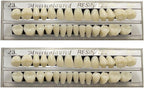 56 Pcs False Teeth Fake Teeth 2 Sets Synthetic Resin Dental Tooth, Upper and Lower Denture Tooth, Party Horror Prop Makeup DIY Replacement, 23 A2