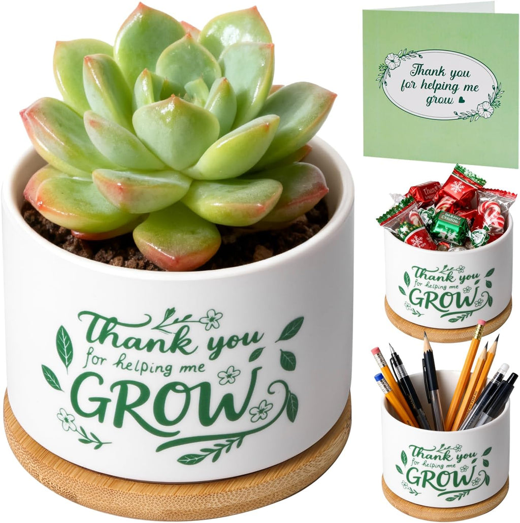 T4U Thank You for Helping Me Grow, 1 Pack Thank You for Helping Me Grow Gift for Teacher, Mini Succulent Pots for Plant Lovers,Thanksgiving Teacher Gift, Small Cactus (3.5 Inch)