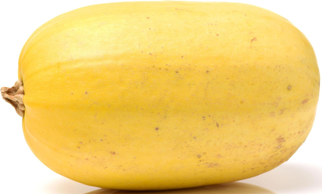 40+ Spaghetti Squash Seeds for Planting - Heirloom Non-GMO USA Grown Winter Squash Seeds by RDR Seeds