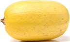 40+ Spaghetti Squash Seeds for Planting - Heirloom Non-GMO USA Grown Winter Squash Seeds by RDR Seeds