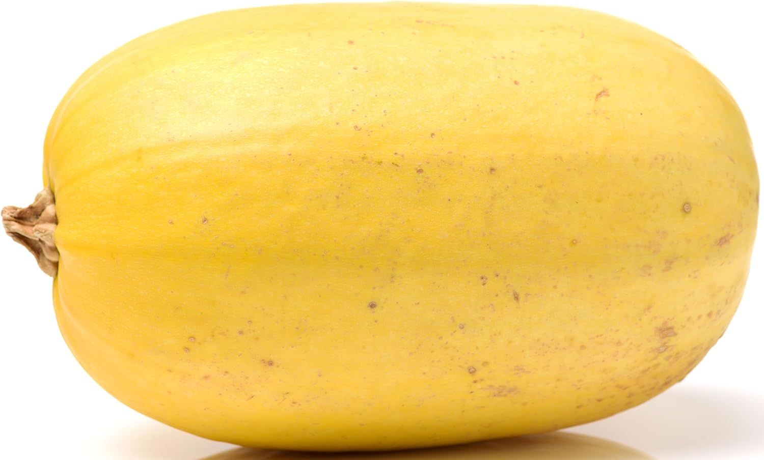 40+ Spaghetti Squash Seeds for Planting - Heirloom Non-GMO USA Grown Winter Squash Seeds by RDR Seeds