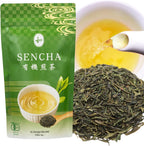 Sencha Green Tea – Organic Japanese Green Tea Loose Leaf, 80g Organic Loose Leaf by HAJIME