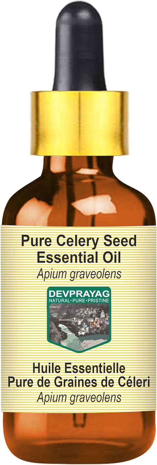 Celery Seed Essential Oil (Apium graveolens) with Glass Dropper | Pure | Non-Sticky | Non-Greasy | Lightweight | Men & Women | All Skin Types | Steam Distilled 15ml (0.5 oz)