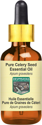 Celery Seed Essential Oil (Apium graveolens) with Glass Dropper | Pure | Non-Sticky | Non-Greasy | Lightweight | Men & Women | All Skin Types | Steam Distilled 15ml (0.5 oz)