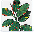 Tropical Leaf Body Weight Scale Accurate Stable Digital Bathroom Scale Safe Anti-Slip Home Scale with LCD Display, Anti-Slip Base & Safe Rounded Edge Design for Home Use