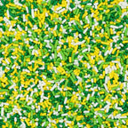 White Yellow Green & Lime Edible Confetti Decorations Sprinkles Desert Jimmies Toppers - 6oz