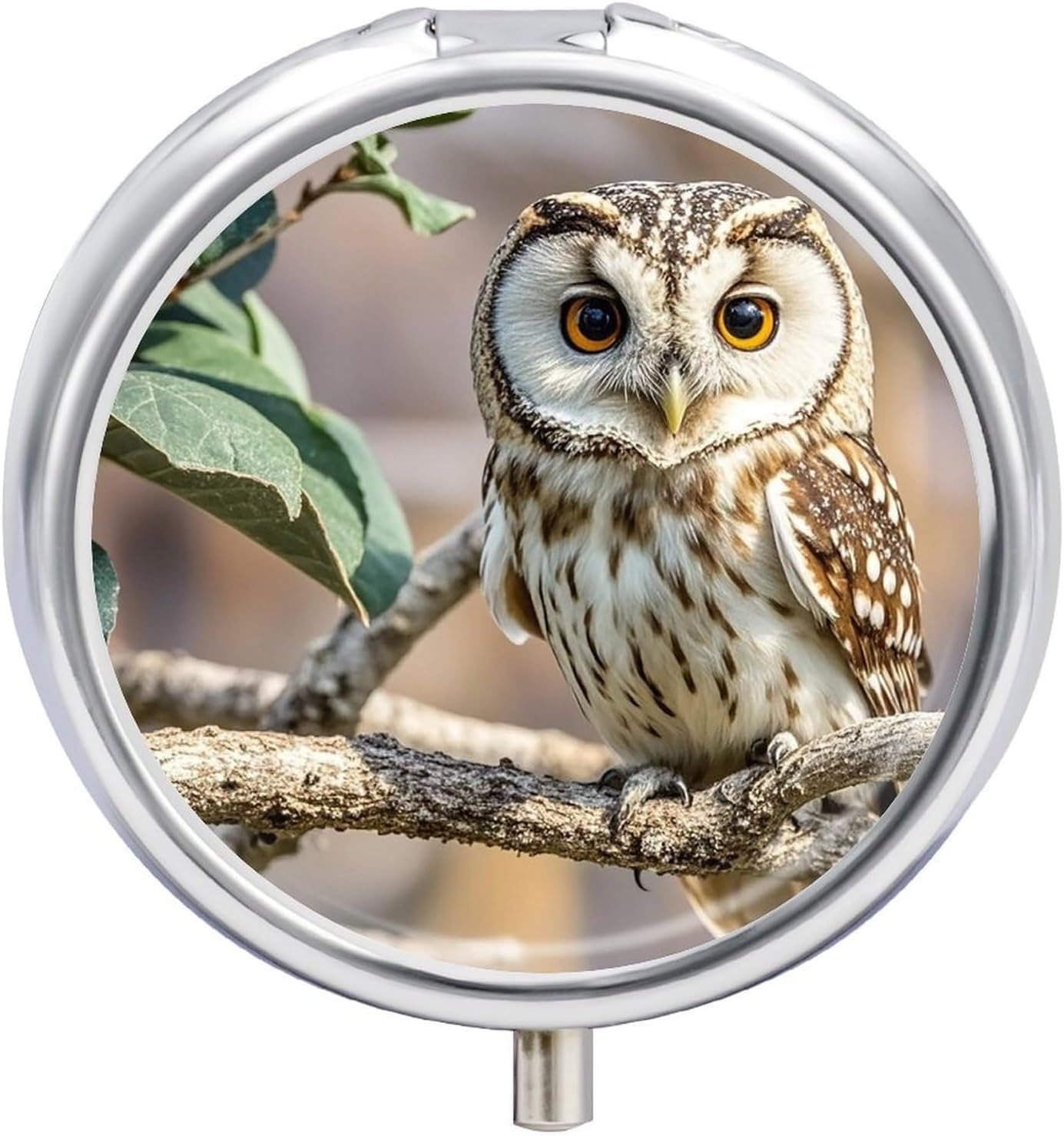 Coffee Bean Owl Pill Organizer Cute Pill Box Decorative Metal Pill Case Portable Vitamin Organizer Travel Medicine Holder Mini Pill Storage Container for Purse