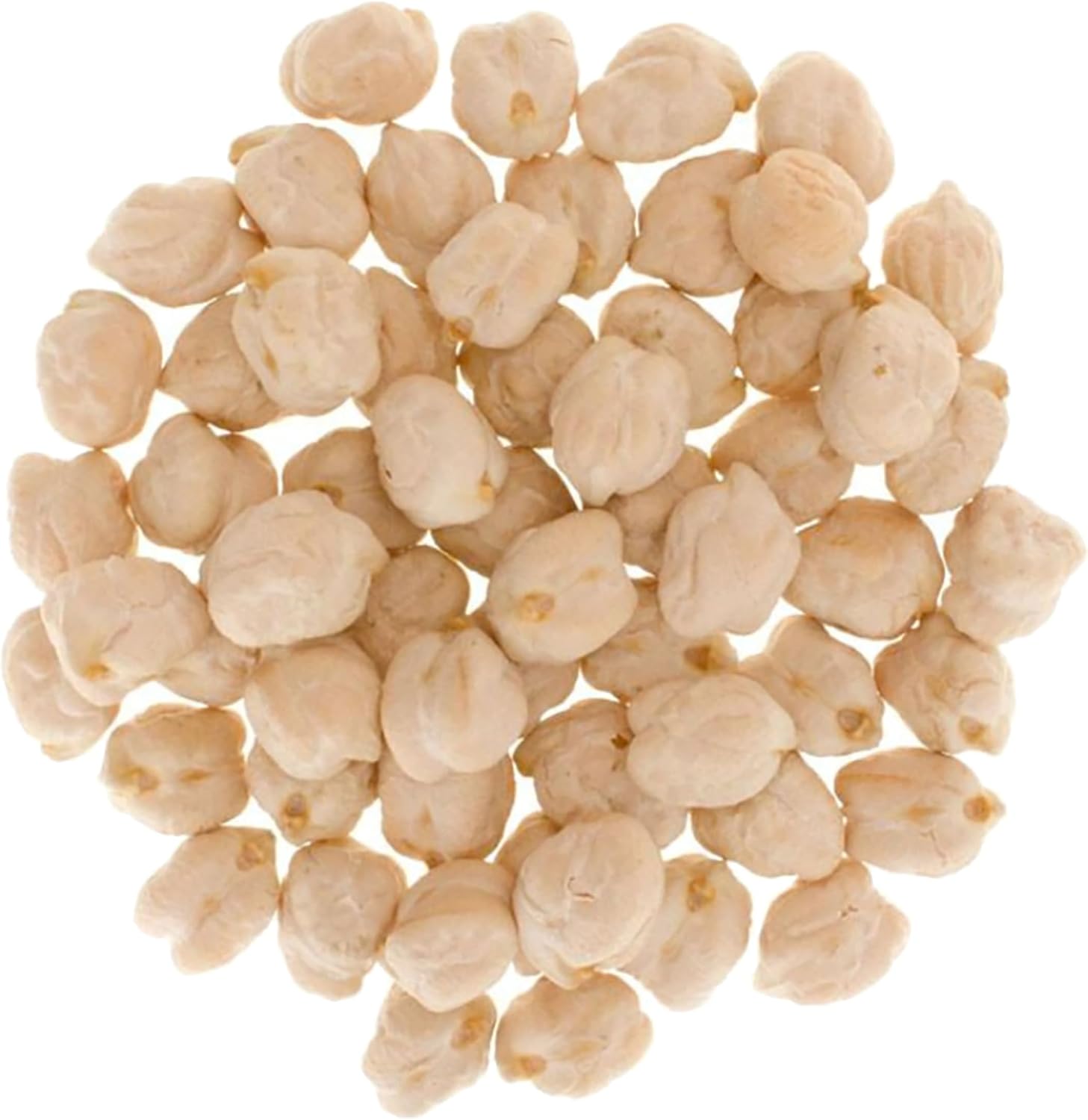 Palouse Brand Certified Glyphosate Residue Free Chickpeas | Garbanzo Beans | 18 lbs | Family Farmed in Washington State | Non-GMO Project Verified | Kosher Parve | USA Grown | Field Traced