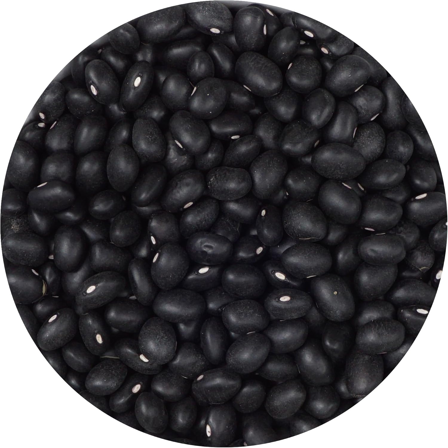 Black Beans, 5 Pound Bulk Bag