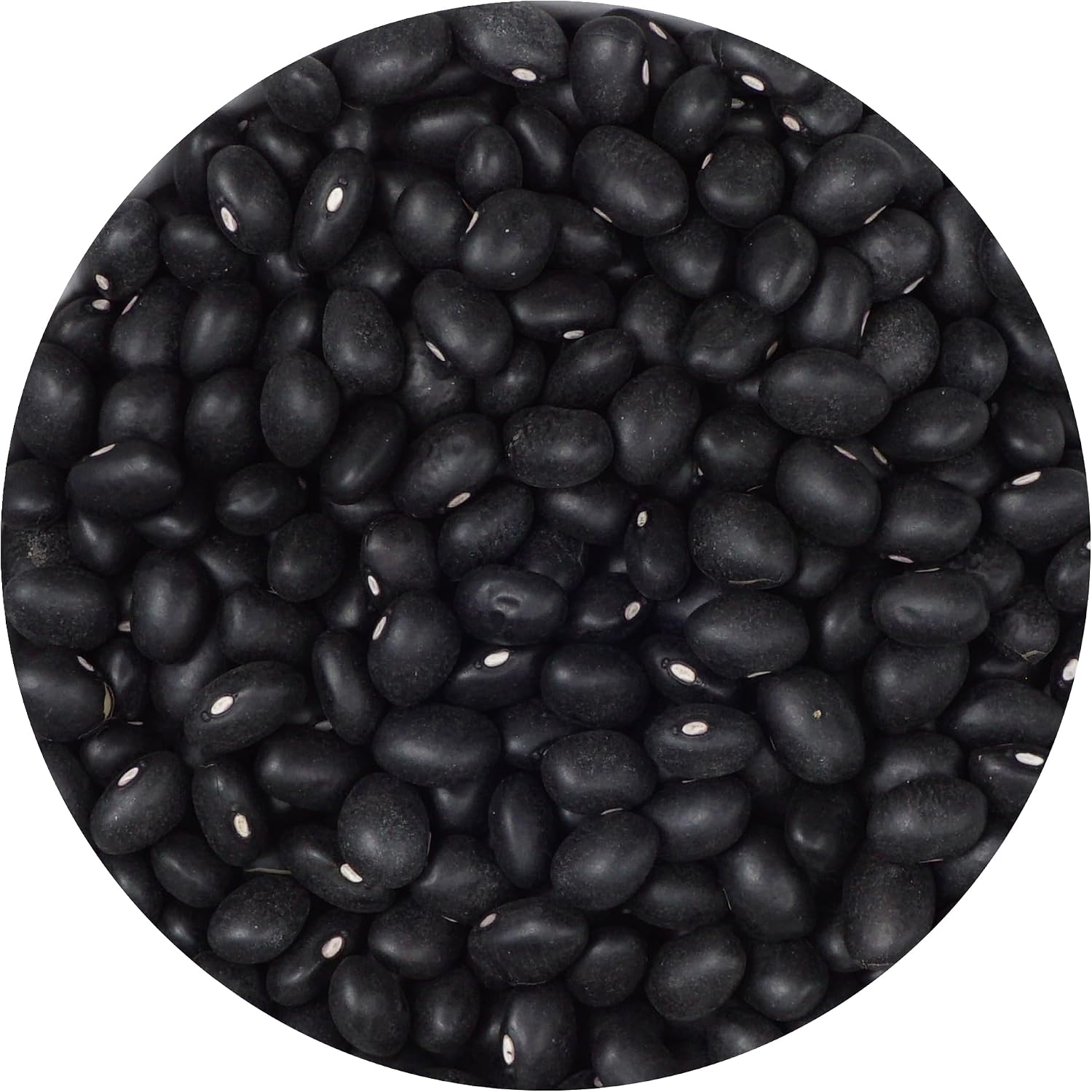 Black Beans, 1 Pound Bulk Bag