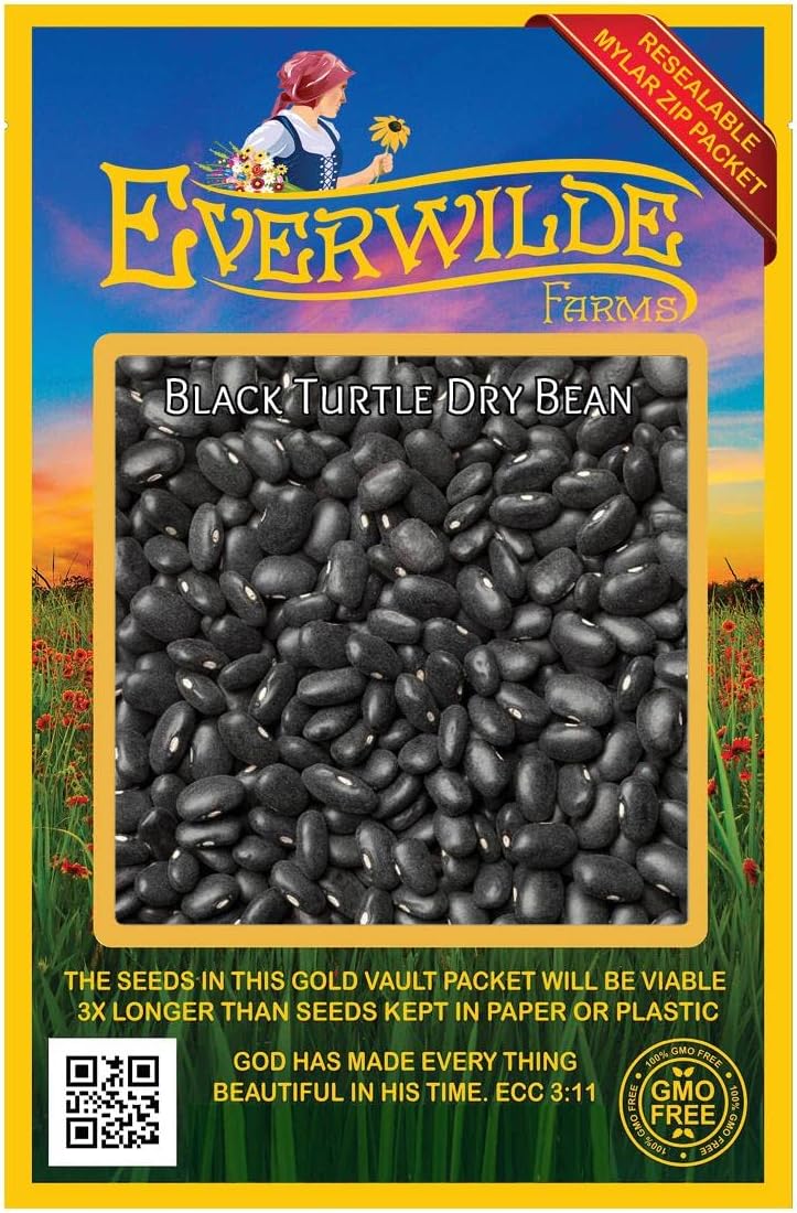 Everwilde Farms - 100 Black Turtle Dry Bean Seeds - Gold Vault Jumbo Seed Packet