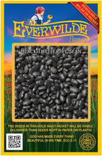 Everwilde Farms - 100 Black Turtle Dry Bean Seeds - Gold Vault Jumbo Seed Packet