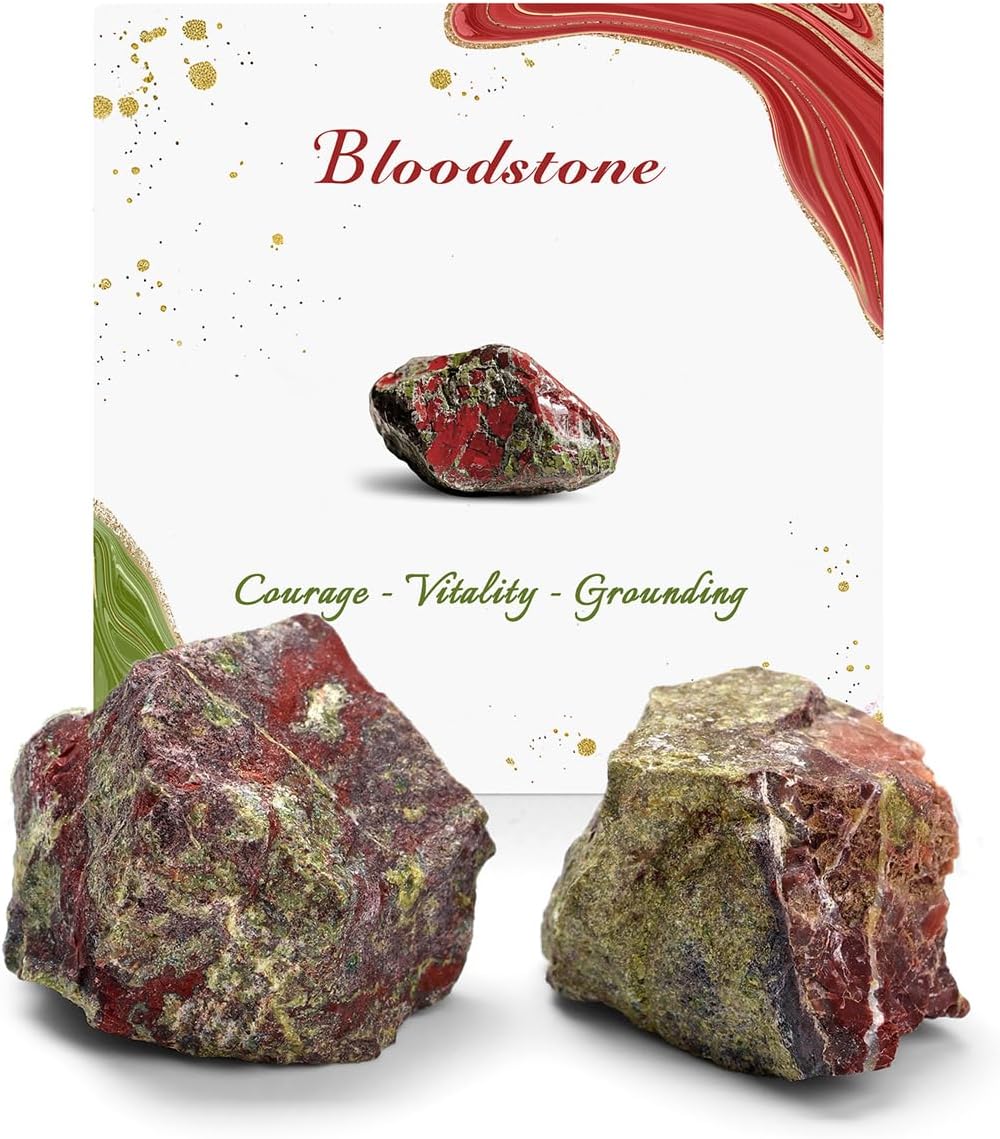 GolbalJew Bloodstone Natural Raw Crystals 2PCS Healing Crystal Stones 1.2-2.0” Reiki Healing Gemstones for Meditation Chakra Balance Home Decor