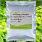 Maral Root (Rhaponticum Carthamoides) Extract 30:1 Capsule 500mg*200capsules