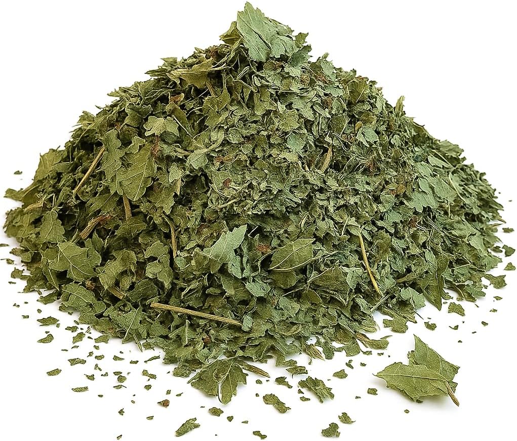 Organic Bio Herbs-Dried BlackBerry Leaves – 100% Natural, Premium Quality Herb for Herbal Tea, Tinctures & Remedies – Non-GMO, Additive-Free (Folia Rubus Fruticosus) 2 Oz.
