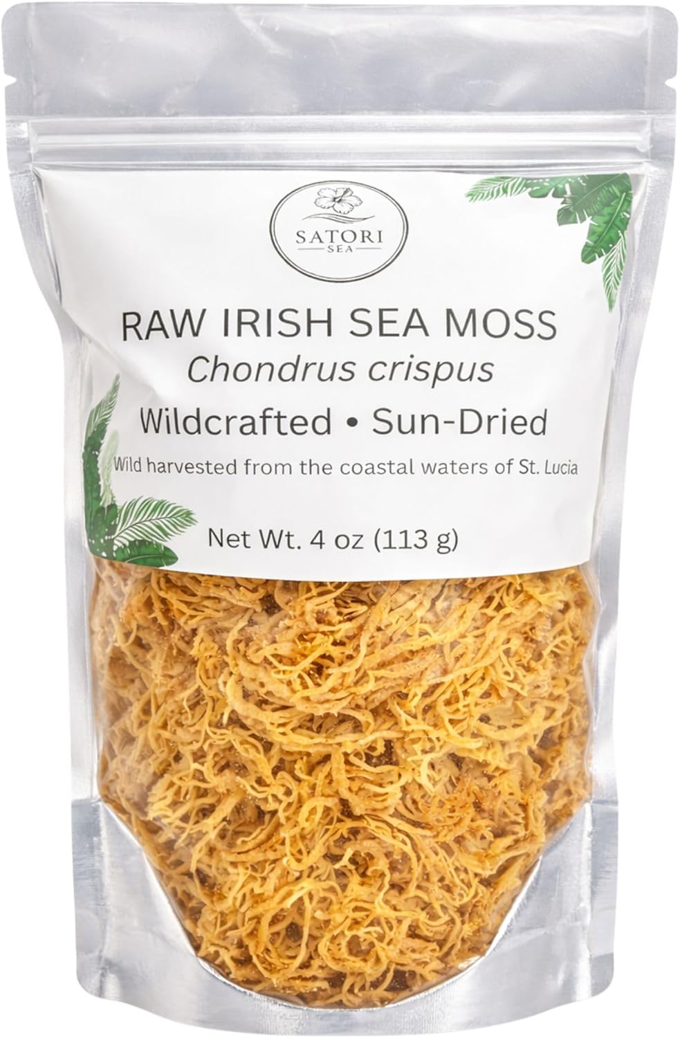 Satori Sea Raw Irish Sea Moss 4 oz – Wildcrafted & Sun-Dried – Harvested in St. Lucia – Dried Whole Chondrus Crispus