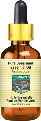 Pure Spearmint Essential Oil (Mentha spicata) with Glass Dropper Steam Distilled 5ml (0.16 oz)