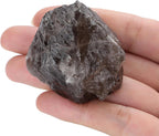 XIANNVXI Smoky Quartz 1.8-2.2" Large Raw Crystals and Healing Stones Natural Rough Crystal Rocks for Decor Gifts Tumbling Cabbing Polishing Fountain Rocks 1PCS