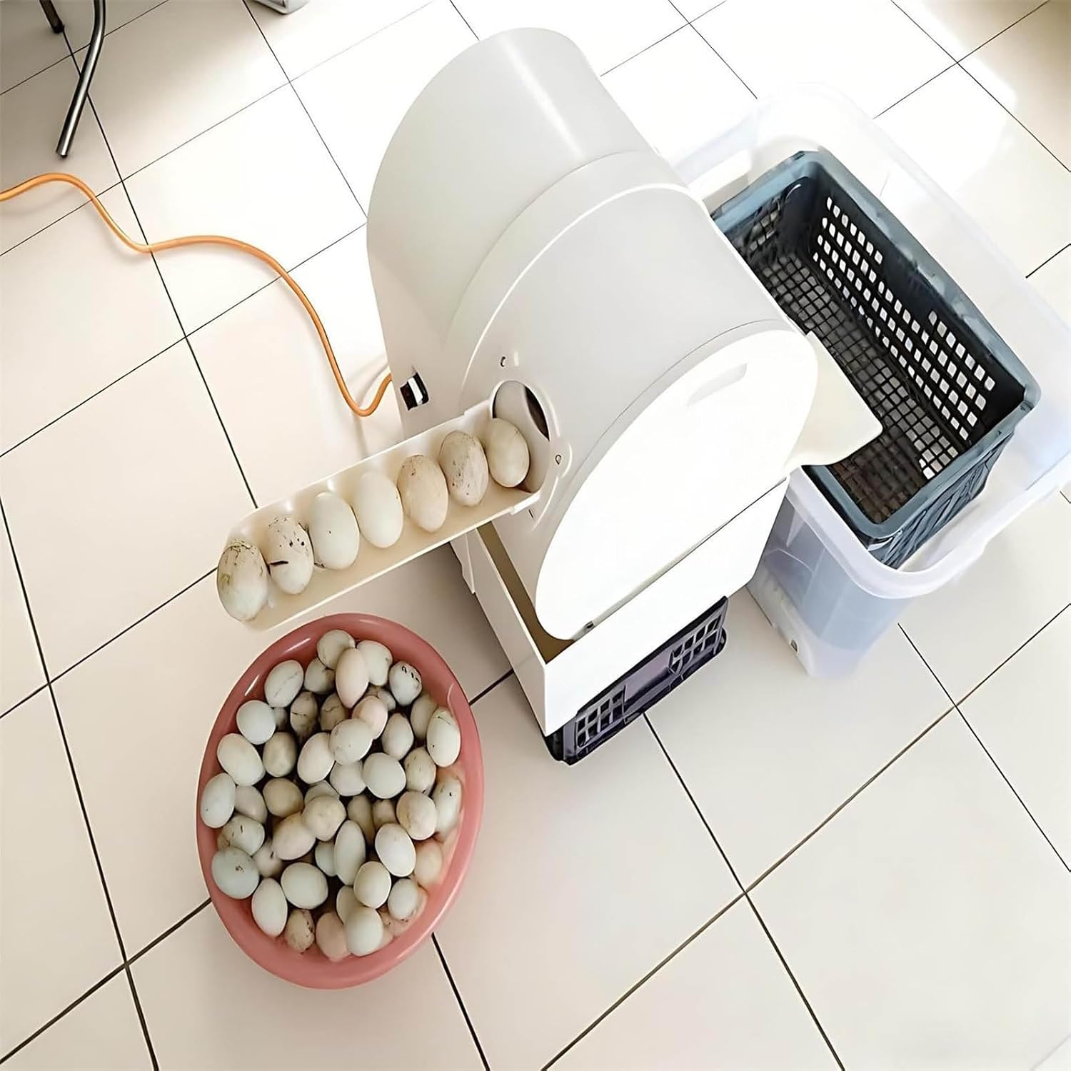 Automatic Electric Egg Washing Machine, 2300 Pcs/H Egg Washer, Egg Washer Machine with Roller Brush, Egg Cleaner Wash Machine, for Chicken, Duck, and Goose Eggs