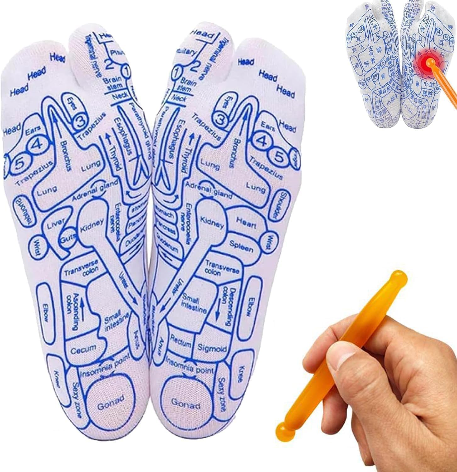 Jinshining White Reflexology Socks Set,Reflexology Socks with Trigger Point Massage Tool, Acupoint Socks Set, Massage Tools and Equipment