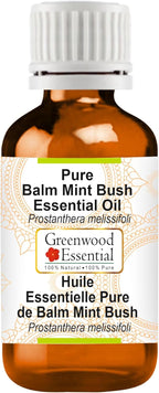 Greenwood Essential Balm Mint Bush Essential Oil (Prostanthera melissifoli) Pure | Non-Sticky | Non-Greasy | Lightweight | Men & Women | All Skin Types | Steam Distilled 2ml (0.06 oz)