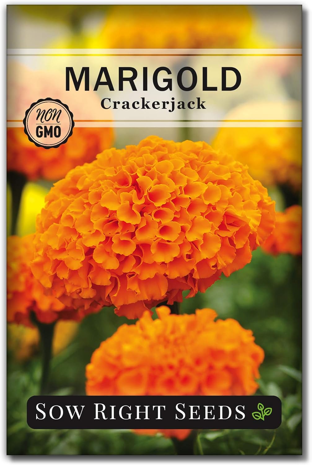 Sow Right Seeds Crackerjack African Marigold Seeds for Planting - Non-GMO Heirloom Seed Packet with Instructions - Companion Plant - Orange & Yellow Blooms Attract Pollinators, Deter Mosquitoes (1)