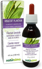 Naturalma Ribwort Plantain or Narrowleaft Plantain (Plantago lanceolata) Leaf Alcohol-Free Tincture - 4 fl oz Liquid Extract in Drops - Herbal Supplement - Vegan