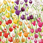 Boston International IHR 3-Ply Paper Napkins, 20-Count Lunch Size, Tulip field