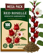 100+ Red Roselle 𝗡𝗢𝗡-𝗚𝗠𝗢 𝗨𝗦𝗔 𝗣𝗥𝗘𝗠𝗜𝗨𝗠 Seeds for Planting – (Hibiscus Sabdariffa) Fast Growing Hibiscus Flowers