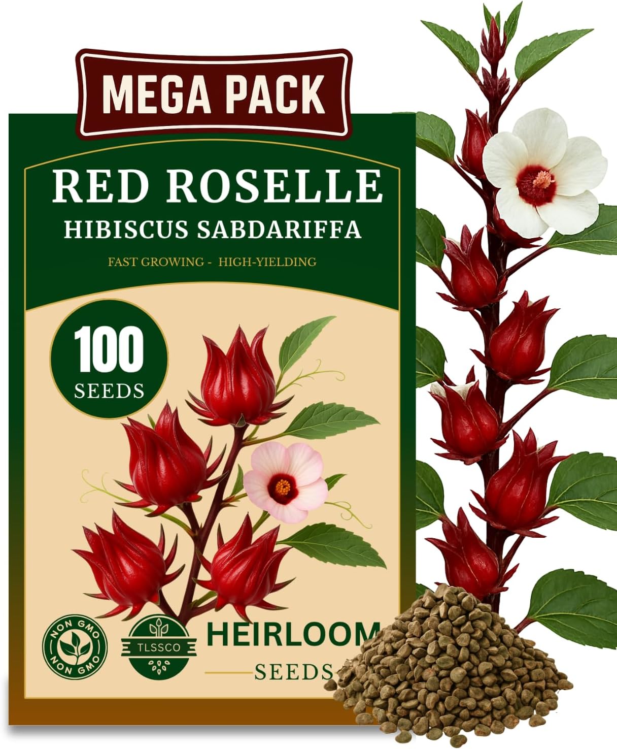 100+ Red Roselle 𝗡𝗢𝗡-𝗚𝗠𝗢 𝗨𝗦𝗔 𝗣𝗥𝗘𝗠𝗜𝗨𝗠 Seeds for Planting – (Hibiscus Sabdariffa) Fast Growing Hibiscus Flowers