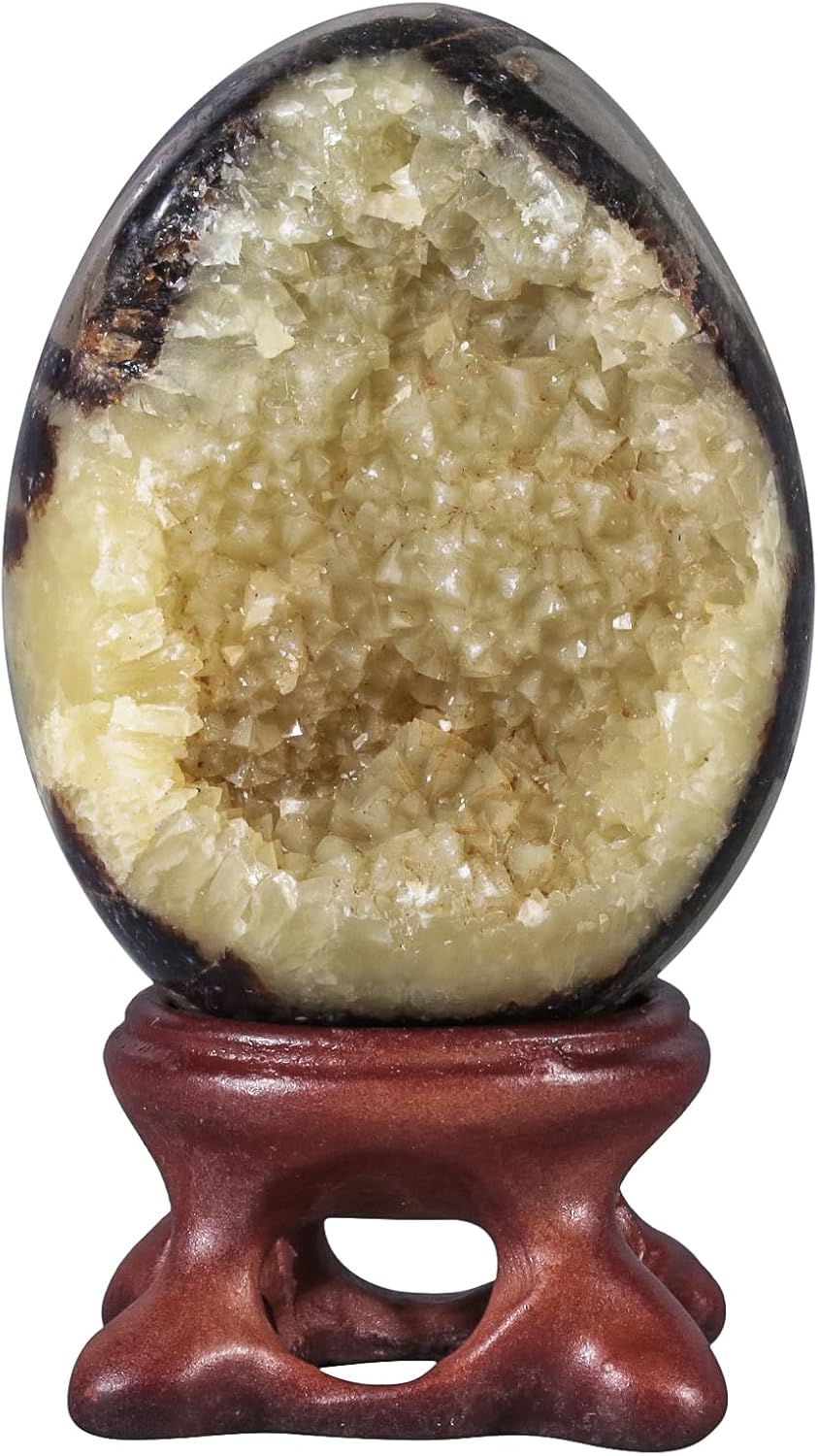 Rockcloud Natural Septarian Dragon Geode Egg with Resin Stand, Healing Crystal Egg Figurine Mineral Specimen for Home Office Decor, 41-50mm