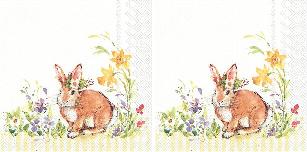 IHR Ideal Home Range Cocktail Napkins Disposable 3-Ply Paper Party Napkin Pack, 5" x 5", Lovely Bunny (Yellow), 20-Count (Pack of 2)