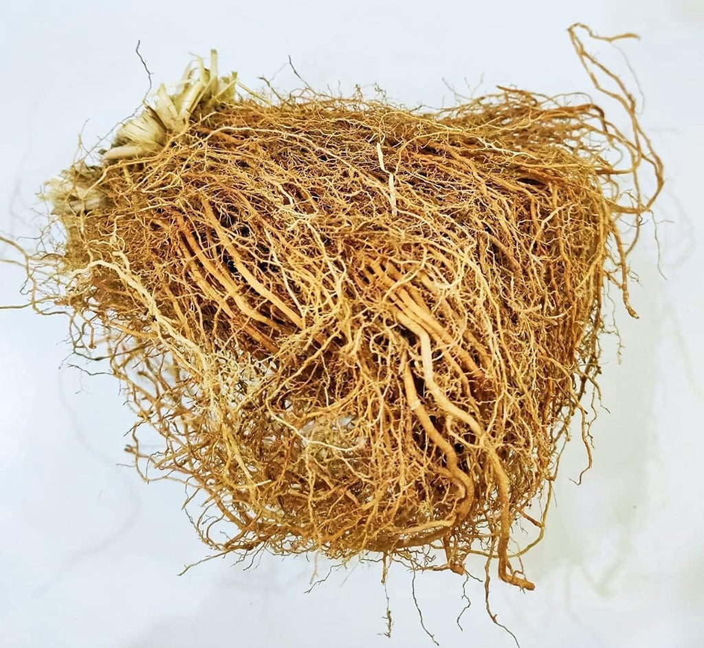 Khas Root - 400 GMS khus Grass Khus Jad Ushira Vetiver Roots Vetiveria Zizanioides Ramacham