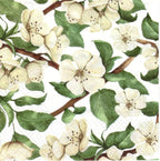 AM Décor - 20 Count Soft 3-Ply Decoupage Luncheon Paper Napkins -13" x 13" (Unfolded) (Spring Apple Blossom)
