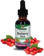 Nature's Answer Barberries Dried Organic Barberry Root 1 Ounce - Barberry Supplements with Berberine, Organic Low Alcohol, Gluten Free, Kosher, Fluid Extract - Immune & Digestive Support