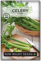 Sow Right Seeds - Tall Utah Celery Seeds for Planting - Non-GMO Heirloom Packet with Instructions to Plant and Grow an Outdoor Home Vegetable Garden - Green Stalk Celeriac for Cooking or Juicing (1)