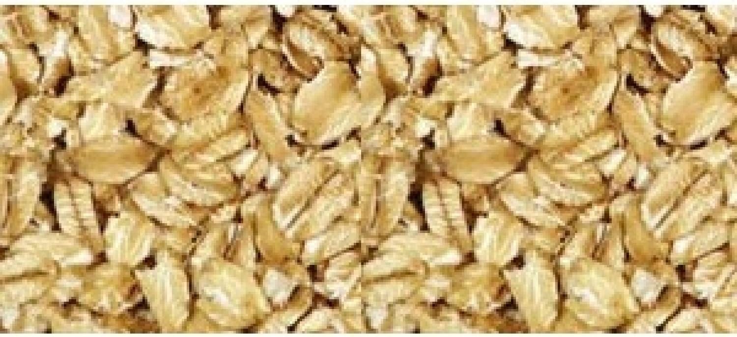 Regular Rolled Oats (25 Pound Bag) Non-GMO by Grain Millers